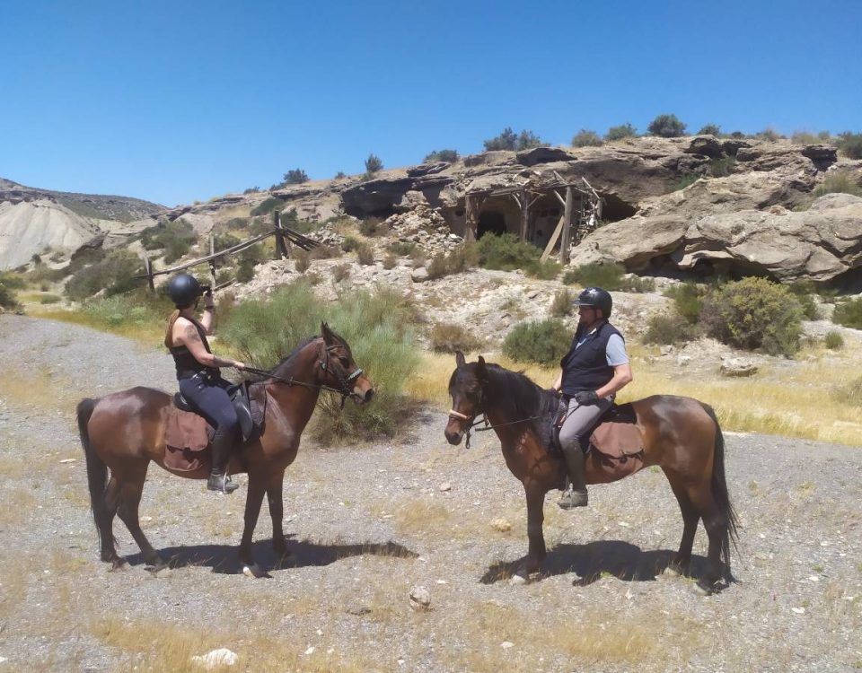Ruta a caballo Aires del Desierto. 3 h. experiemntados